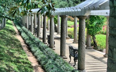 Freistehende Holzpergola – Der perfekte Gartenplatz für Entspannung und Gemütlichkeit