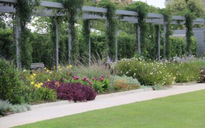 Perfekte Pergola für den Balkon