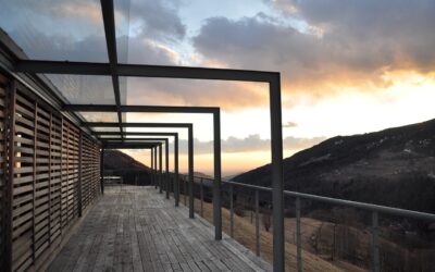 Klettertrompete Pergola: Die perfekte Ergänzung für Ihren Garten!