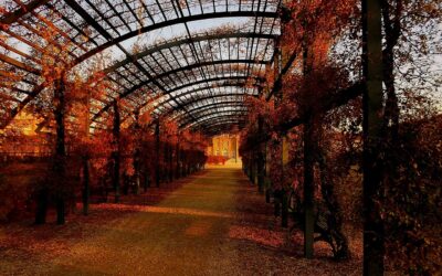 Pergola Bauanleitung PDF