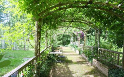 Perfekte Pergola Ideen für den ultimativen Outdoor-Traumgarten