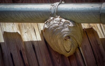 Dachrinne für Terrassenüberdachung: Schützen Sie Ihren Außenbereich mit einer effektiven Lösung