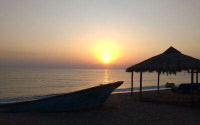 Perfekte Pergola: Entdecke die Vorzüge von Aluminium!