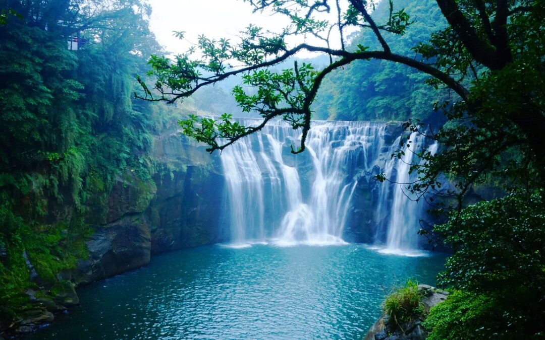 Perfekte Pergola DIY: Hol dir den ultimativen Outdoor-Traumgarten!