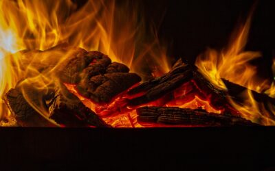 Holz Terrassendach: Die perfekte Kombination aus Schutz und Ästhetik