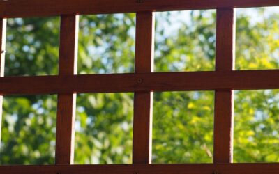 Perfekte Pergola 3×4: Wie Sie Ihren Garten mit diesem atemberaubenden Design-Highlight verwandeln