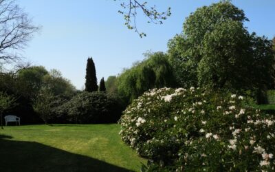 Glas Terrassendach: Wie du mit diesem modernen und eleganten Element den perfekten Rückzugsort im eigenen Garten schaffst!