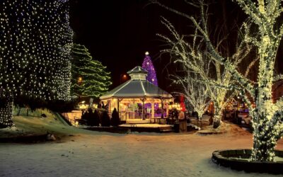 Pergola Beleuchtung: Einfache Ideen für stimmungsvolles Ambiente im Garten