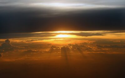 Pergola 4×4: Der ultimative Guide zu stilvoller Gartengestaltung