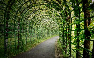 Ideen: Pergola selber bauen – Die ultimative Anleitung für kreative Outdoor-Oasen