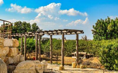 Perfekte Pergola: Hochwertige Holz-Bausätze von HORNBACH für dein individuelles Gartenparadies