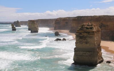 Pergola bepflanzen: Tipps und Tricks für eine atemberaubende grüne Oase im eigenen Garten