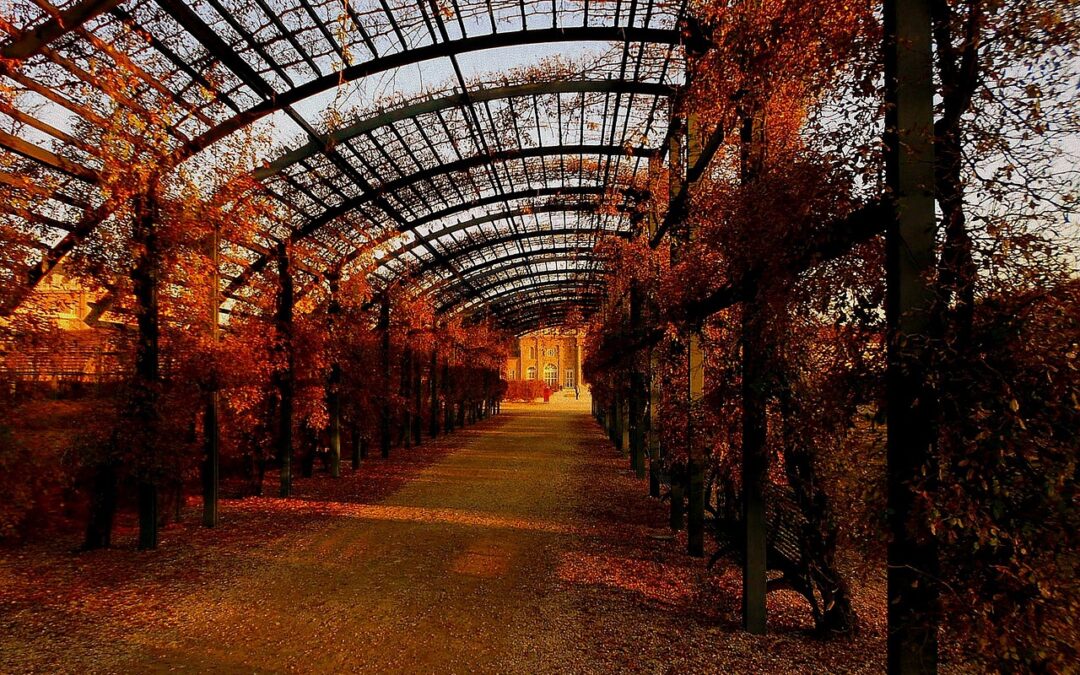Pergola Holz selbst bauen: Der ultimative Leitfaden für Ihre Garten-Oase